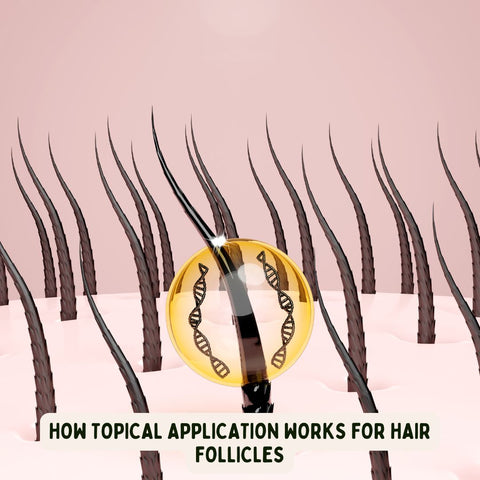 How Topical Application Works for Hair Follicles