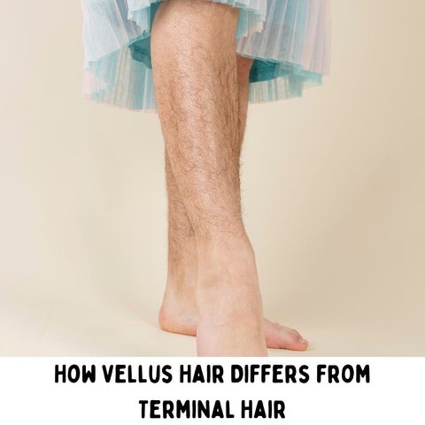 How Vellus Hair Differs from Terminal Hair