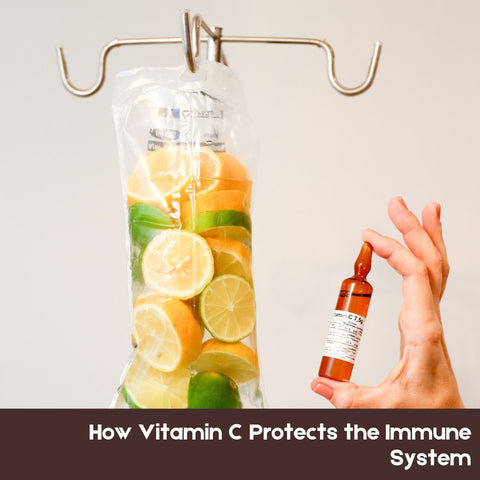 How Vitamin C Protects the Immune System