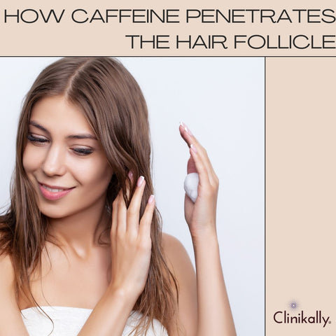 How caffeine penetrates the hair follicle