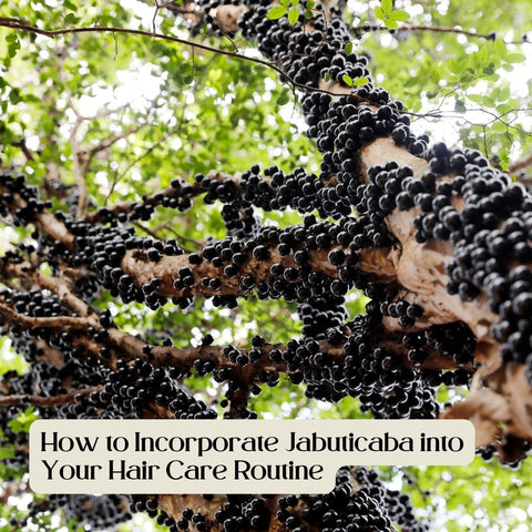 How to Incorporate Jabuticaba into Your Hair Care Routine