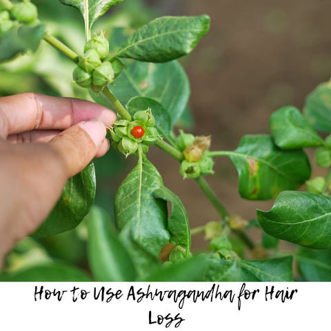 How to Use Ashwagandha for Hair Loss