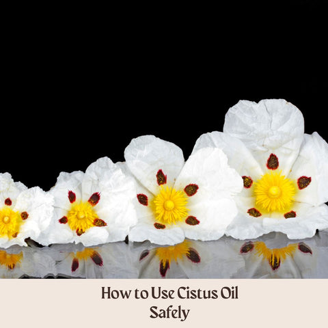 How to Use Cistus Oil Safely