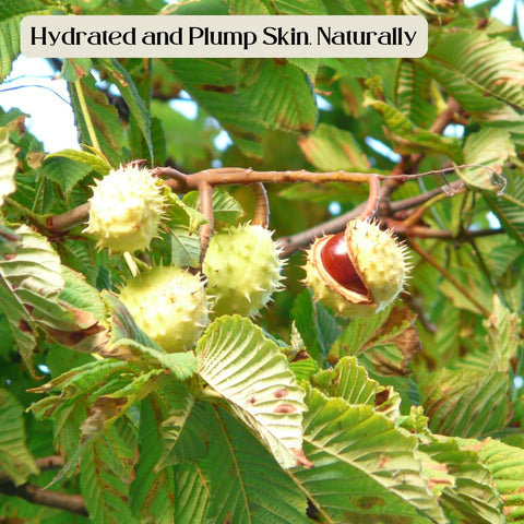 Hydrated and Plump Skin, Naturally