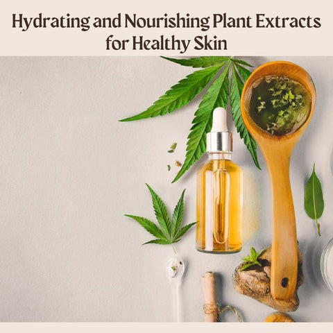 Hydrating and Nourishing Plant Extracts for Healthy Skin