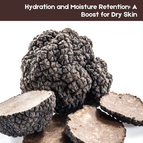 Hydration and Moisture Retention: A Boost for Dry Skin