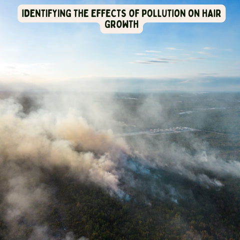 Identifying the Effects of Pollution on Hair Growth