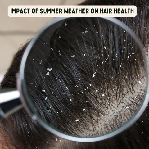 Impact of Summer Weather on Hair Health