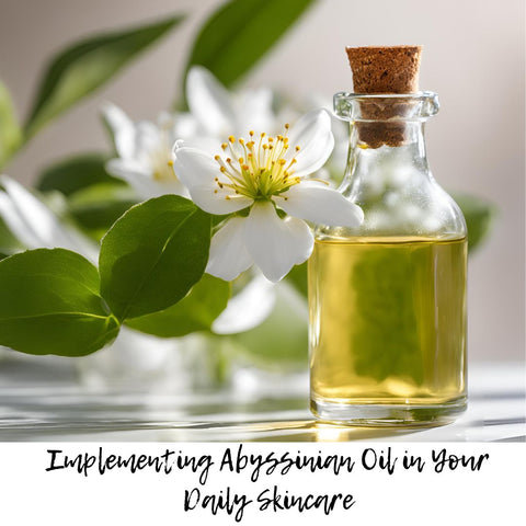 Implementing Abyssinian Oil in Your Daily Skincare