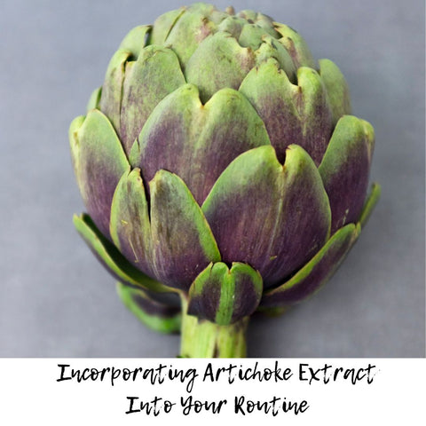 Incorporating Artichoke Extract Into Your Routine