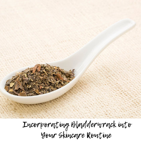 Incorporating Bladderwrack into Your Skincare Routine