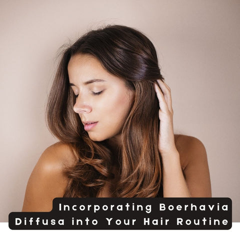 Incorporating Boerhavia Diffusa into Your Hair Routine