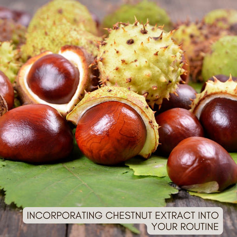 Incorporating Chestnut Extract into Your Routine