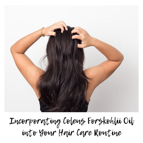 Incorporating Coleus Forskohlii Oil into Your Hair Care Routine