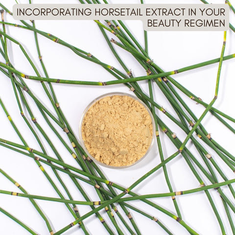 Incorporating Horsetail Extract in Your Beauty Regimen