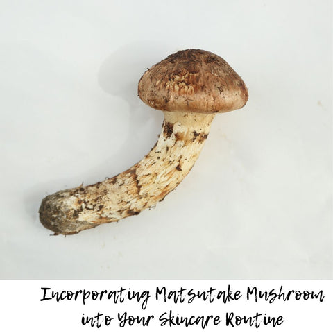 Incorporating Matsutake Mushroom into Your Skincare Routine