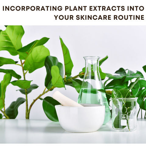 Incorporating Plant Extracts into Your Skincare Routine