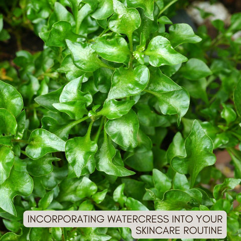 Incorporating Watercress into Your Skincare Routine