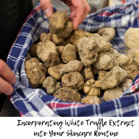 Incorporating White Truffle Extract into Your Skincare Routine