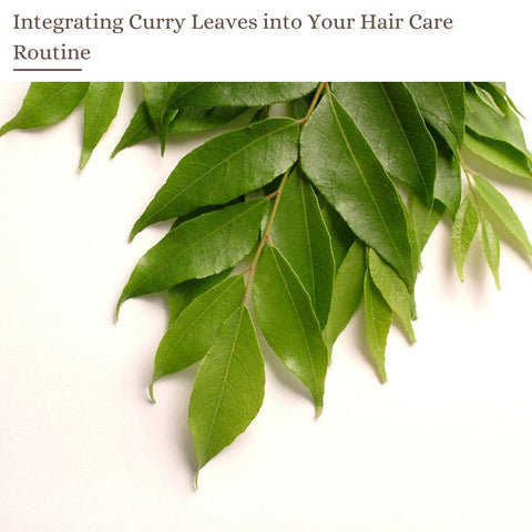 Integrating Curry Leaves into Your Hair Care Routine