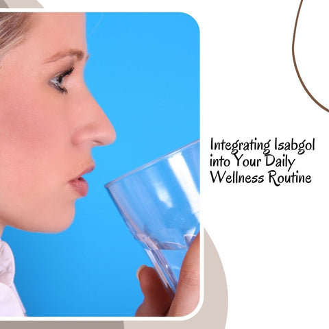 Integrating Isabgol into Your Daily Wellness Routine