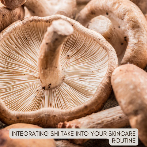 Integrating Shiitake into Your Skincare Routine