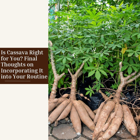 Is Cassava Right for You? Final Thoughts on Incorporating It into Your Routine