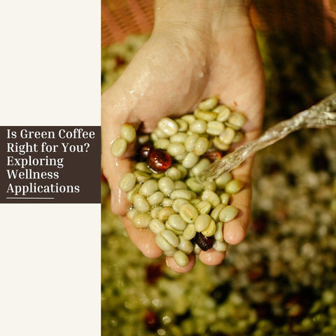 Is Green Coffee Right for You? Exploring Wellness Applications