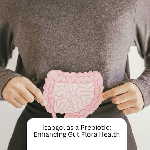 Isabgol as a Prebiotic: Enhancing Gut Flora Health
