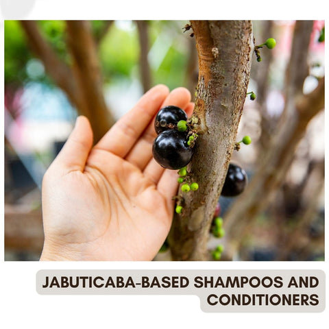 Jabuticaba-Based Shampoos and Conditioners