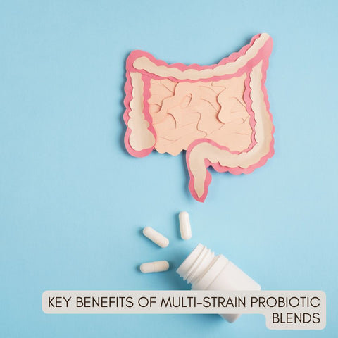 Key Benefits of Multi-Strain Probiotic Blends