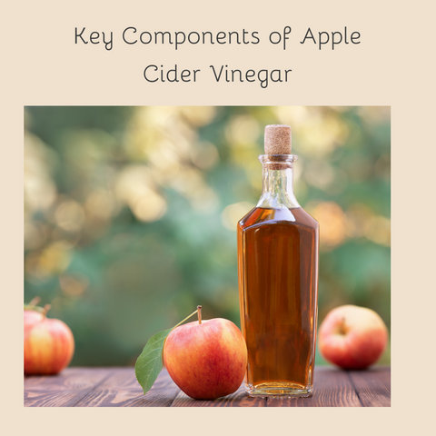 Key Components of Apple Cider Vinegar