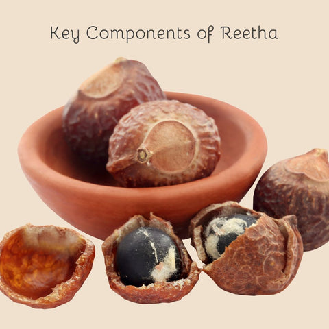 Key Components of Reetha