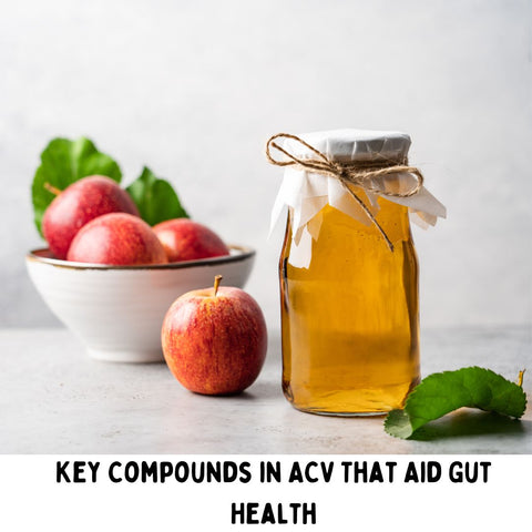 Key Compounds in ACV That Aid Gut Health