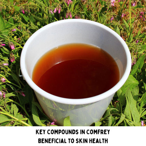 Key Compounds in Comfrey Beneficial to Skin Health