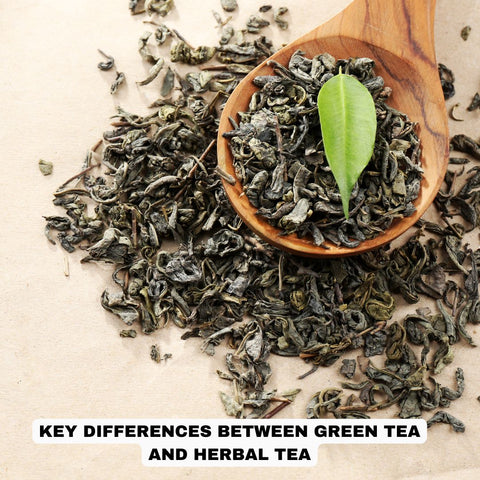 Key Differences Between Green Tea and Herbal Tea