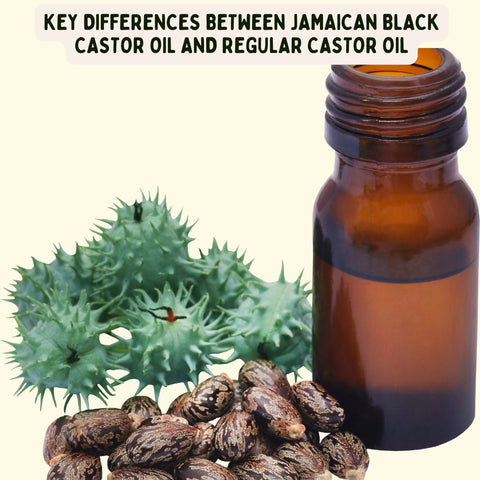 Key Differences Between Jamaican Black Castor Oil and Regular Castor Oil