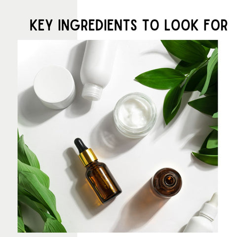Key Ingredients to Look For
