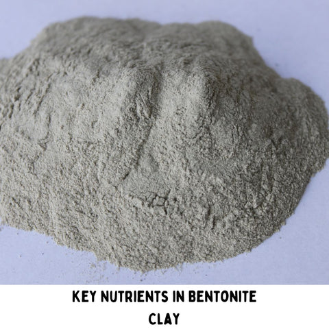 Key Nutrients in Bentonite Clay
