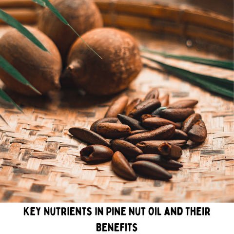 Key Nutrients in Pine Nut Oil and Their Benefits
