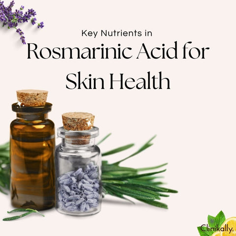 Key Nutrients in Rosmarinic Acid for Skin Health