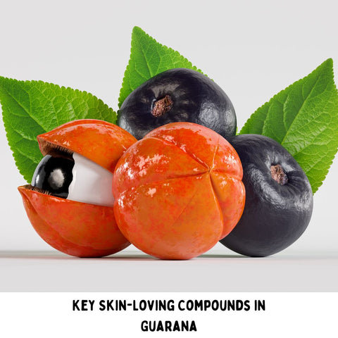 Key Skin-Loving Compounds in Guarana