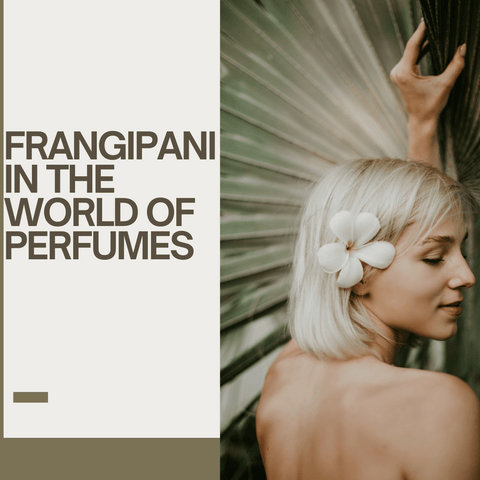 Frangipani in the World of Perfumes