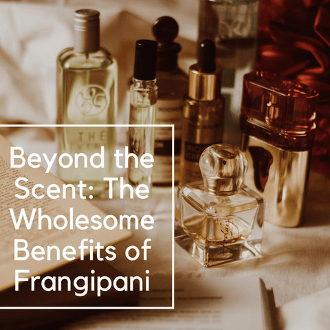 Beyond the Scent: The Wholesome Benefits of Frangipani