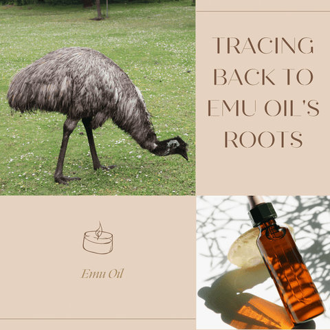 Tracing Back to Emu Oil's Roots