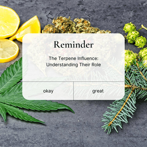 The Terpene Influence: Understanding Their Role