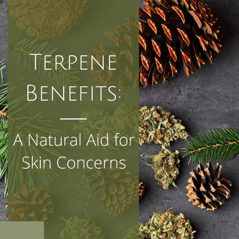 Terpene Benefits: A Natural Aid for Skin Concerns