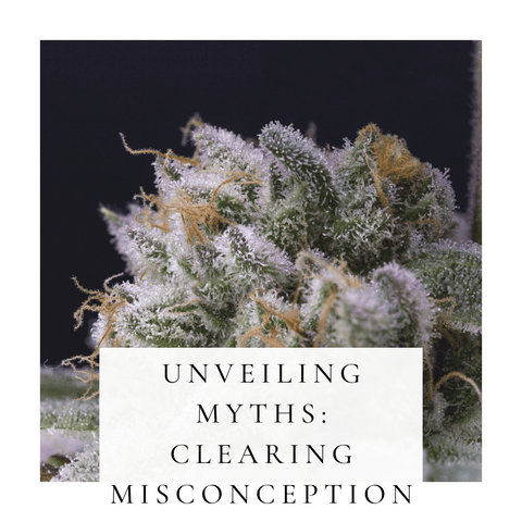 Unveiling Myths: Clearing Misconceptions About Terpenes