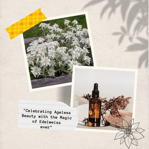Celebrating Ageless Beauty with the Magic of Edelweiss