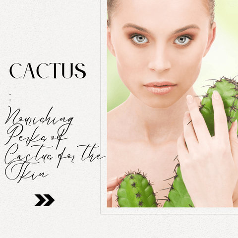 Nourishing Perks of Cactus for the Skin